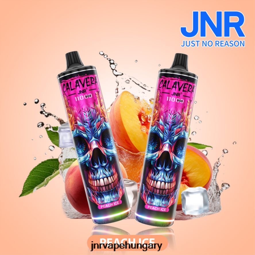 jnr calavera barack jég N0L24L296 -JNR Vape Price