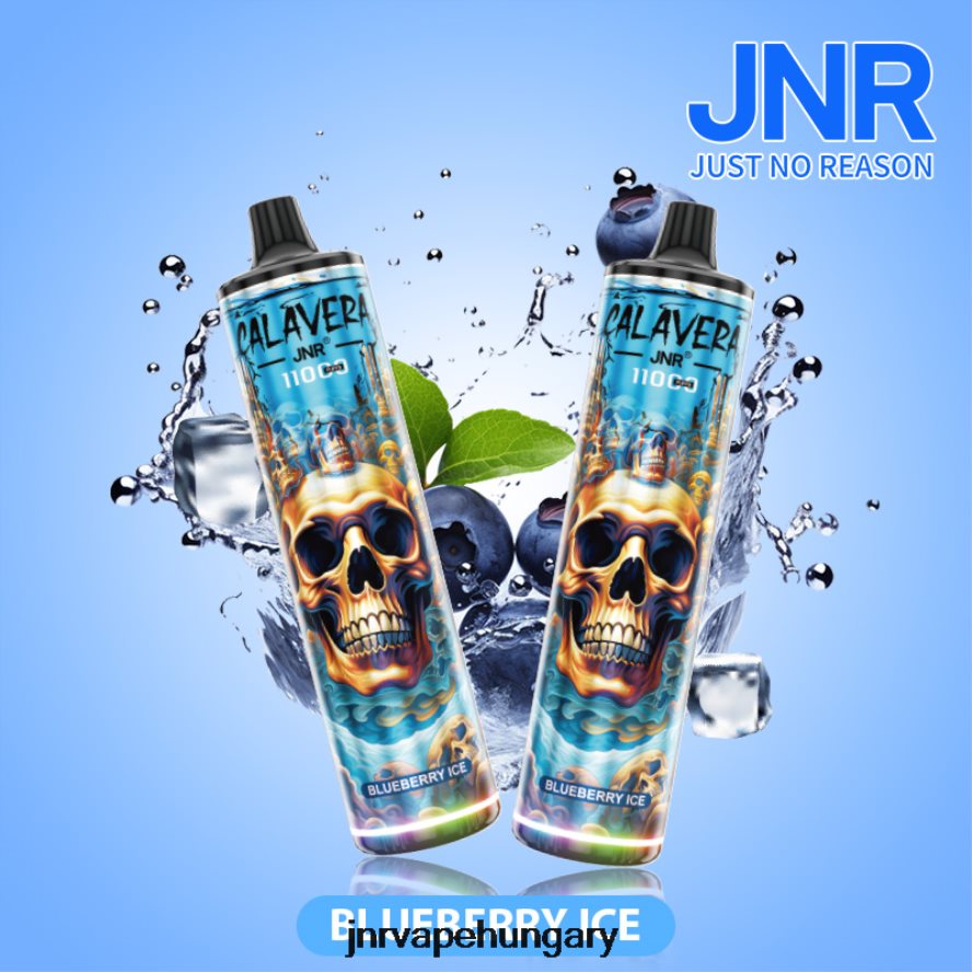 jnr calavera áfonyás jég N0L24L292 -JNR Vape