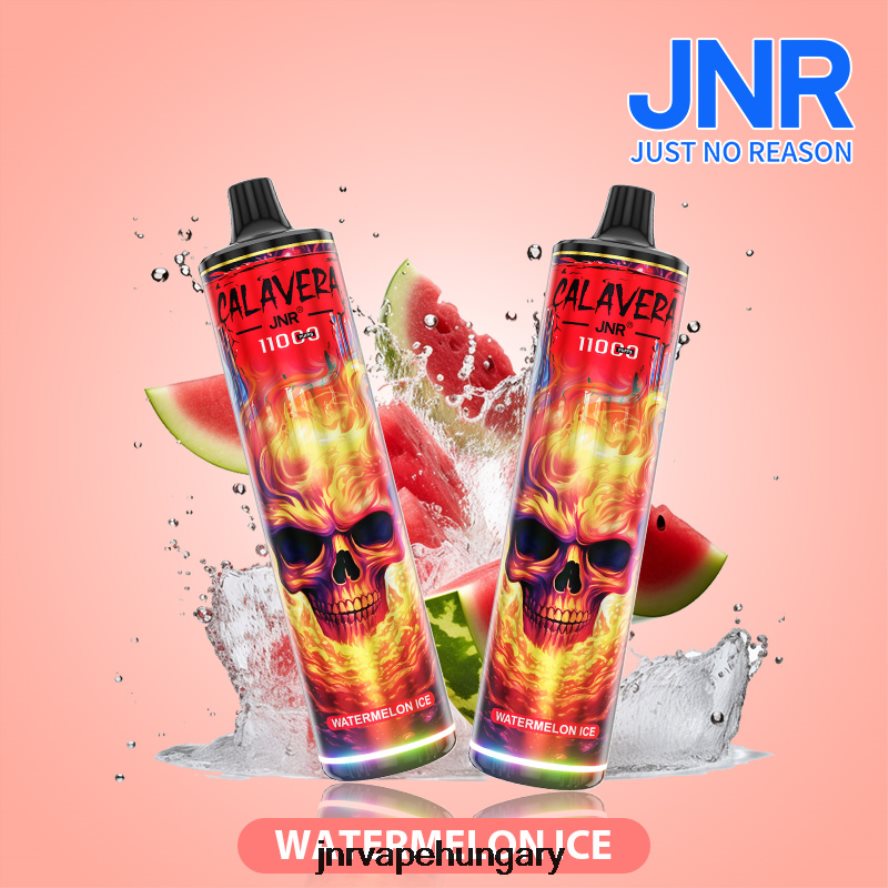jnr calavera görögdinnye jég N0L24L294 -JNR Vape Nicotine