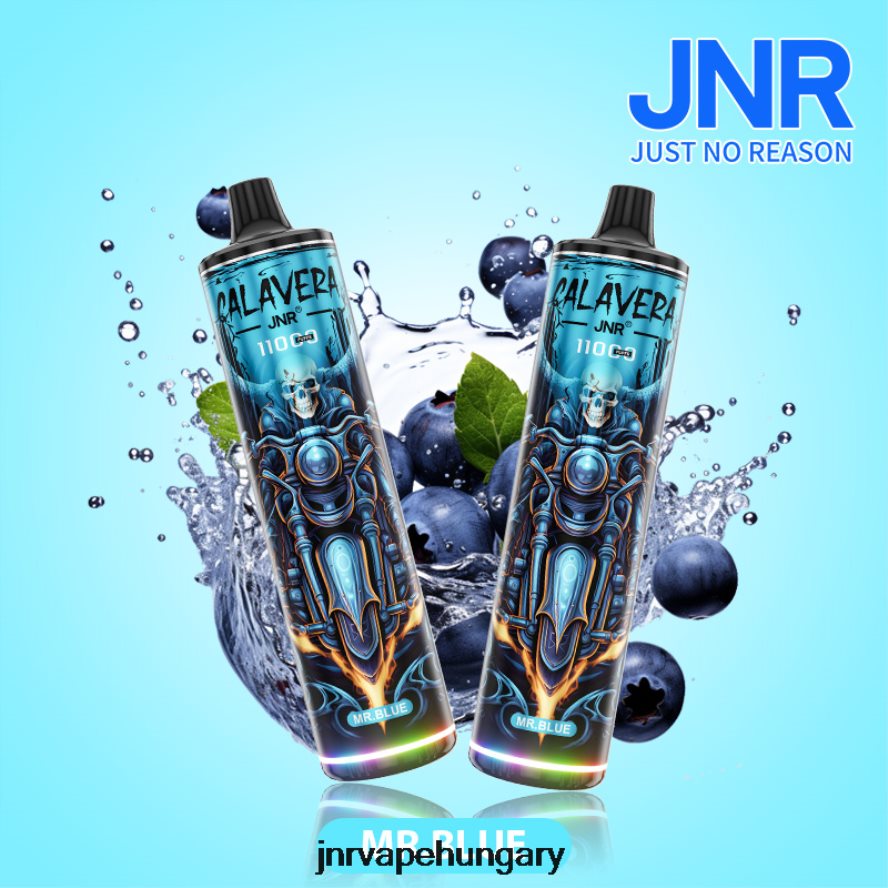 jnr calavera mr.blue N0L24L303 -JNR Vape Magyarország