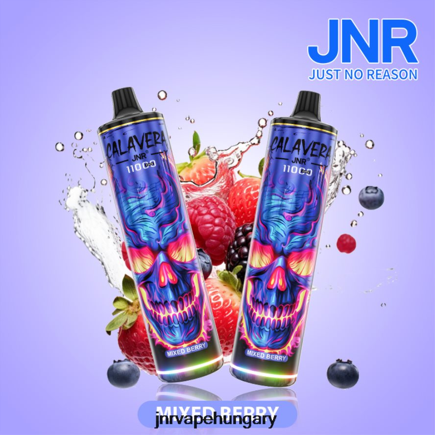 jnr calavera vegyes bogyó N0L24L310 -JNR Vape Pods