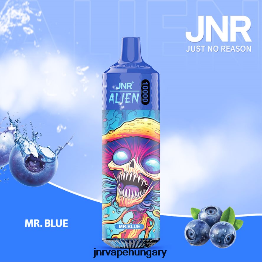 jnr idegen mr.blue N0L24L133 -JNR Vape Magyarország