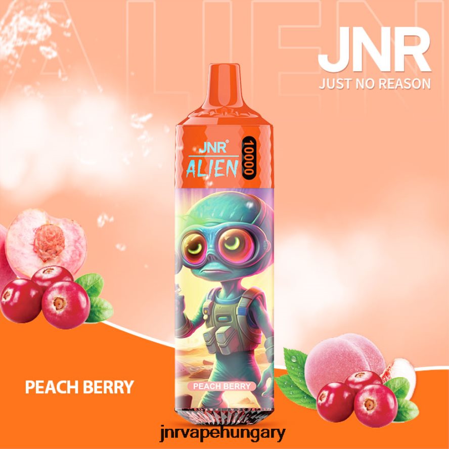 jnr idegen őszibarack bogyó N0L24L135 -JNR Vape Flavours