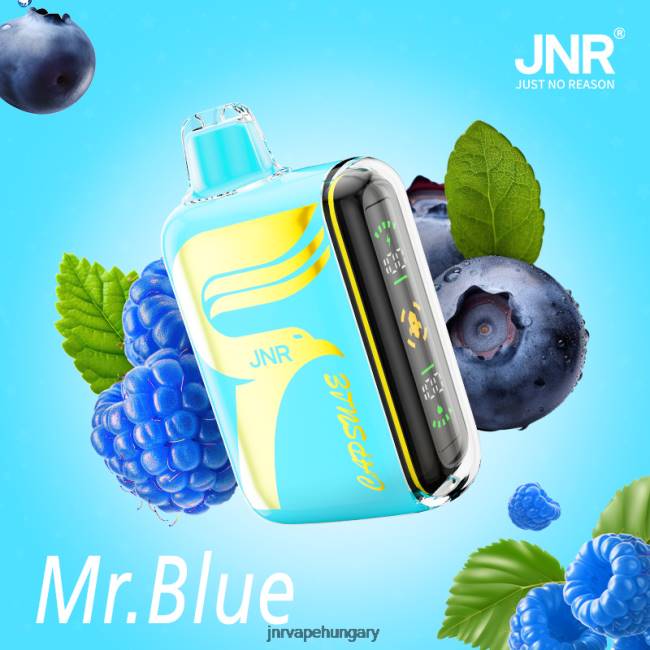 JNR kapszula mr.kék 06XZ64 - JNR Vape Nicotine