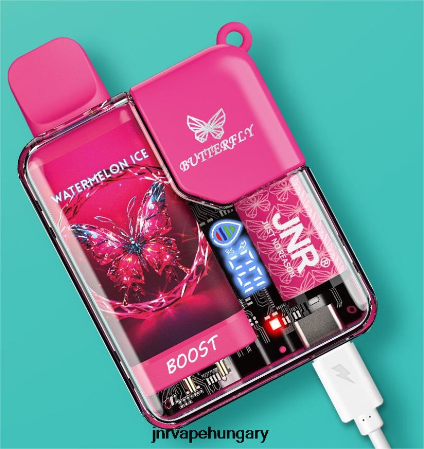 jnr pillangó görögdinnye jég N0L24L75 -JNR Vape Flavours