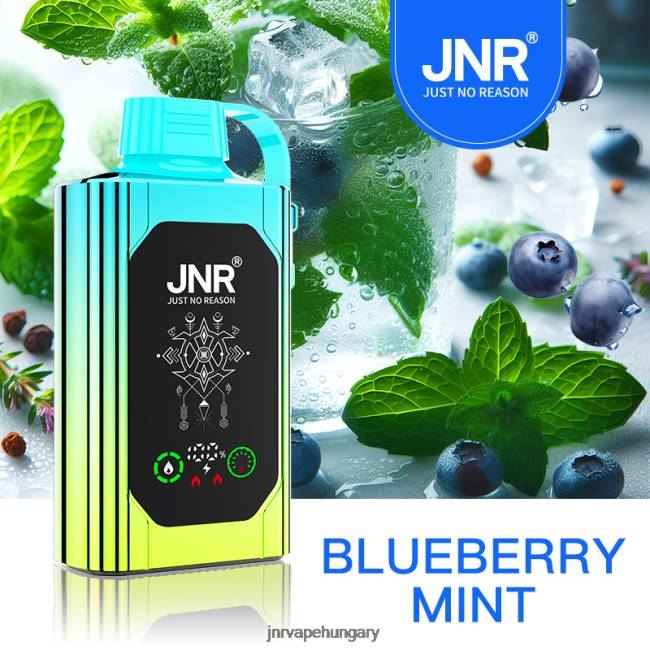 JNR SHISHA doboz áfonyás menta 06XZ88 - JNR Vape Budapest