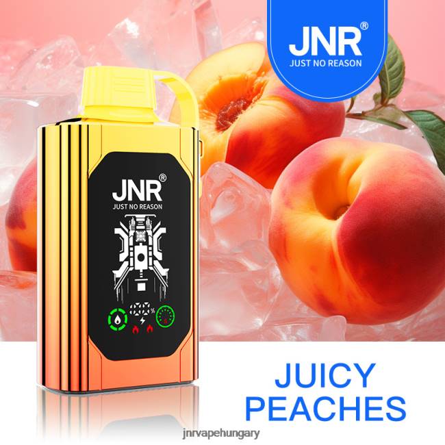 JNR SHISHA doboz lédús őszibarack 06XZ84 - JNR Vape Price
