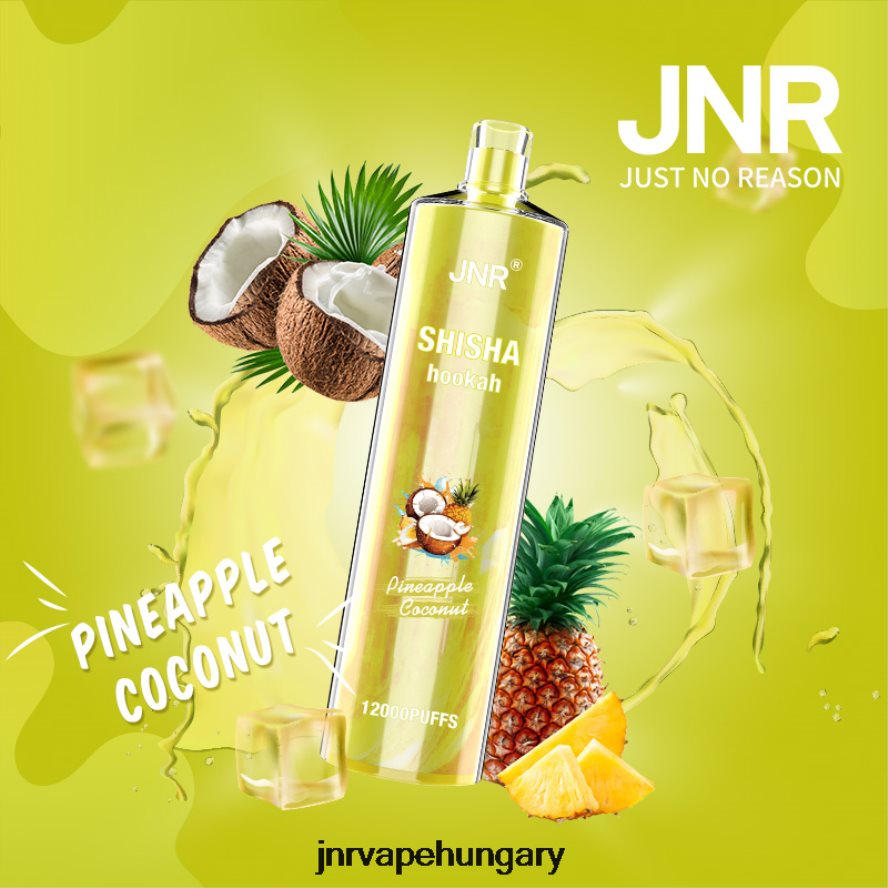jnr shisha ananász kókusz N0L24L167 -JNR Vape Budapest