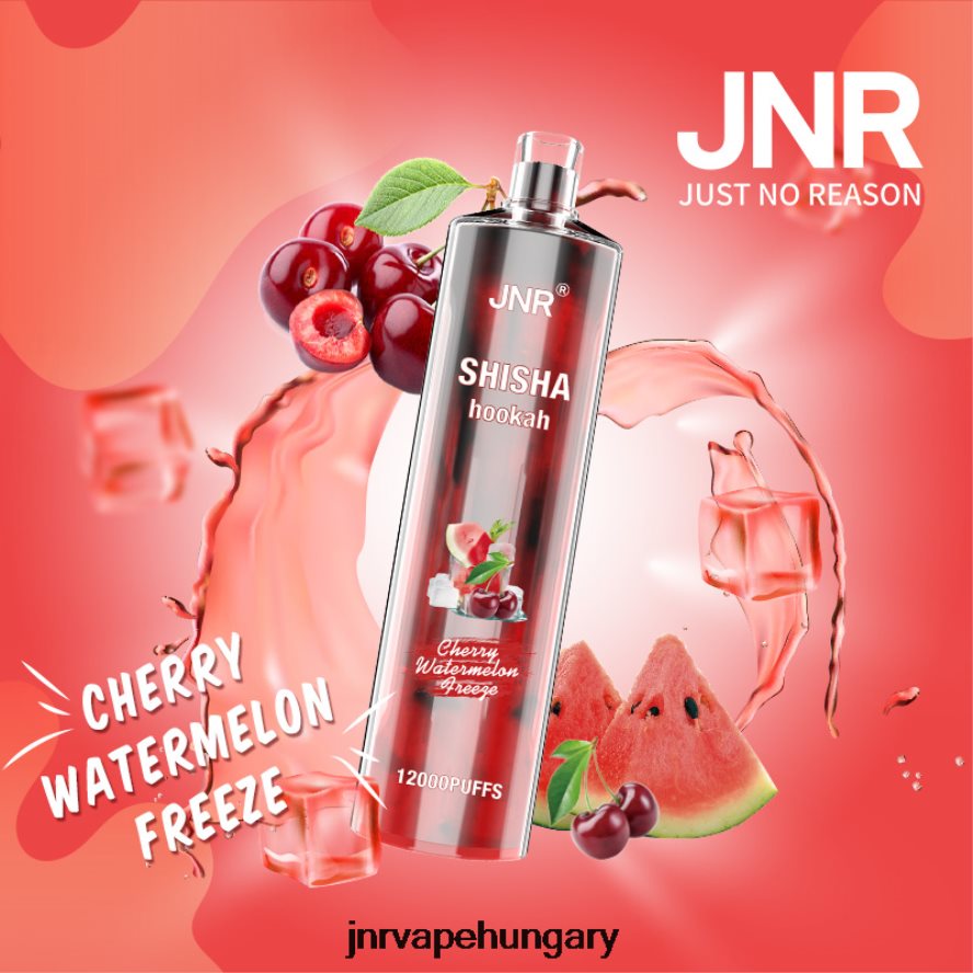 jnr shisha cseresznye görögdinnye fagyasztható N0L24L163 -JNR Vape Magyarország