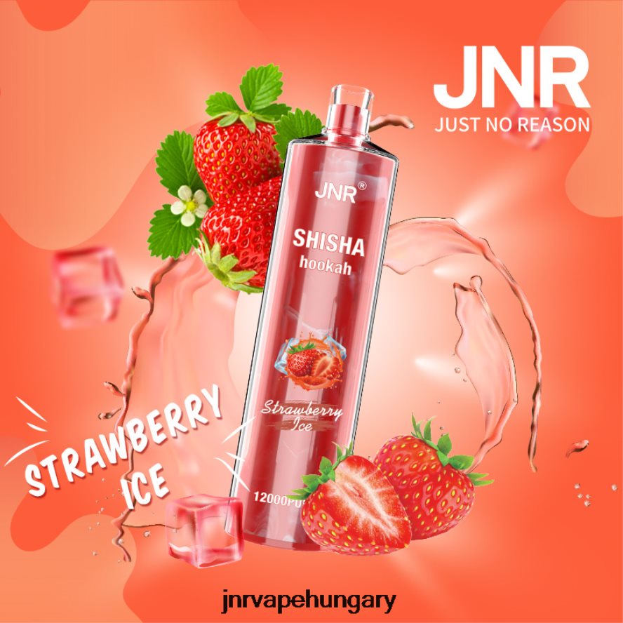 jnr shisha eper jég N0L24L176 -JNR Vape Price