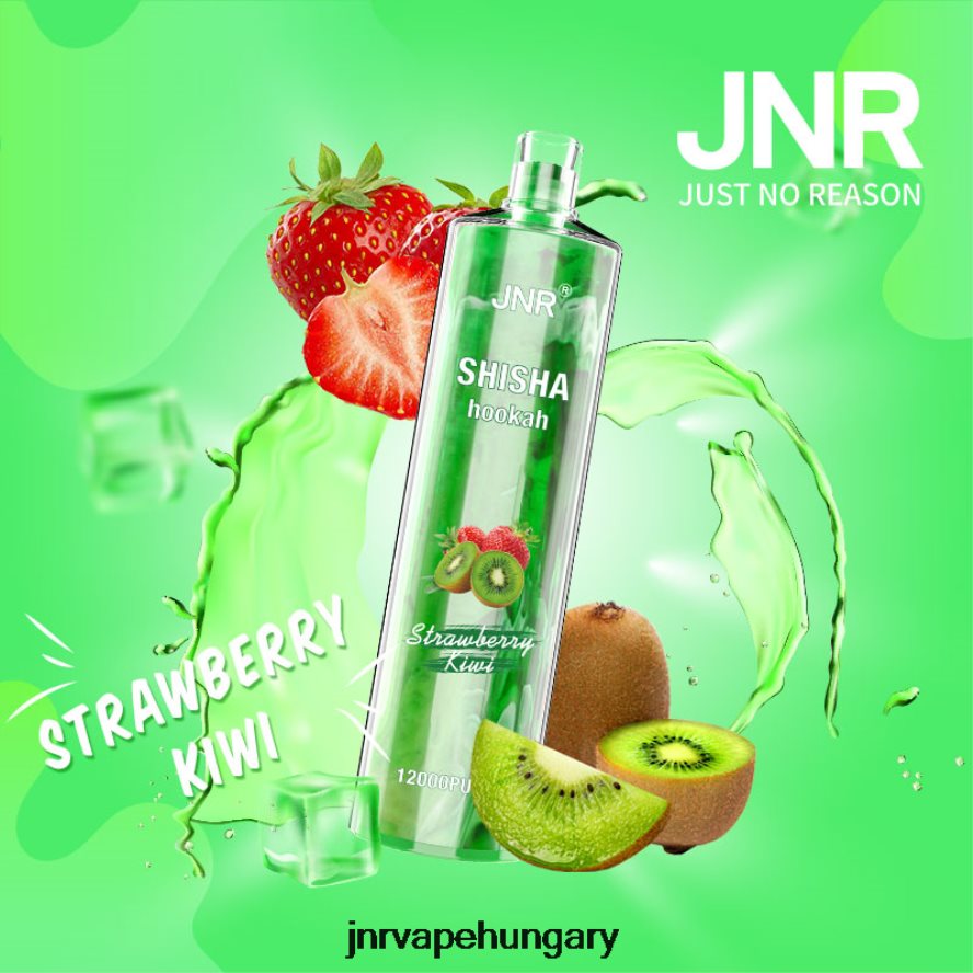jnr shisha epres kivi N0L24L177 -JNR Vape Budapest