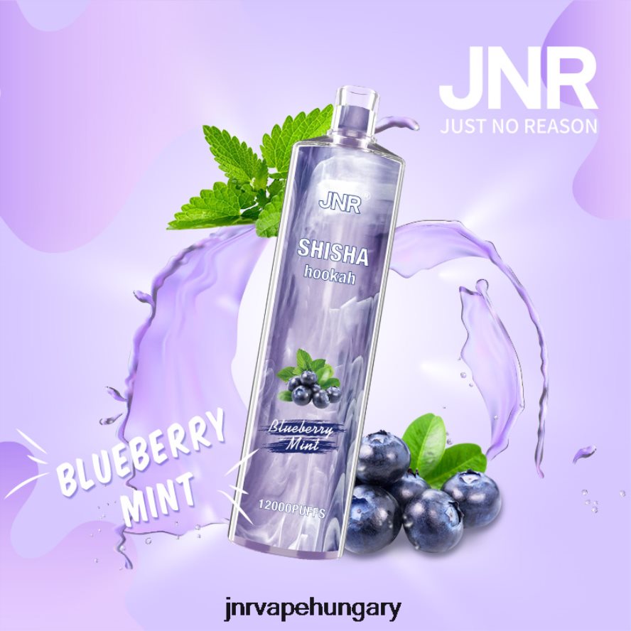 jnr shisha áfonyás menta N0L24L172 -JNR Vape