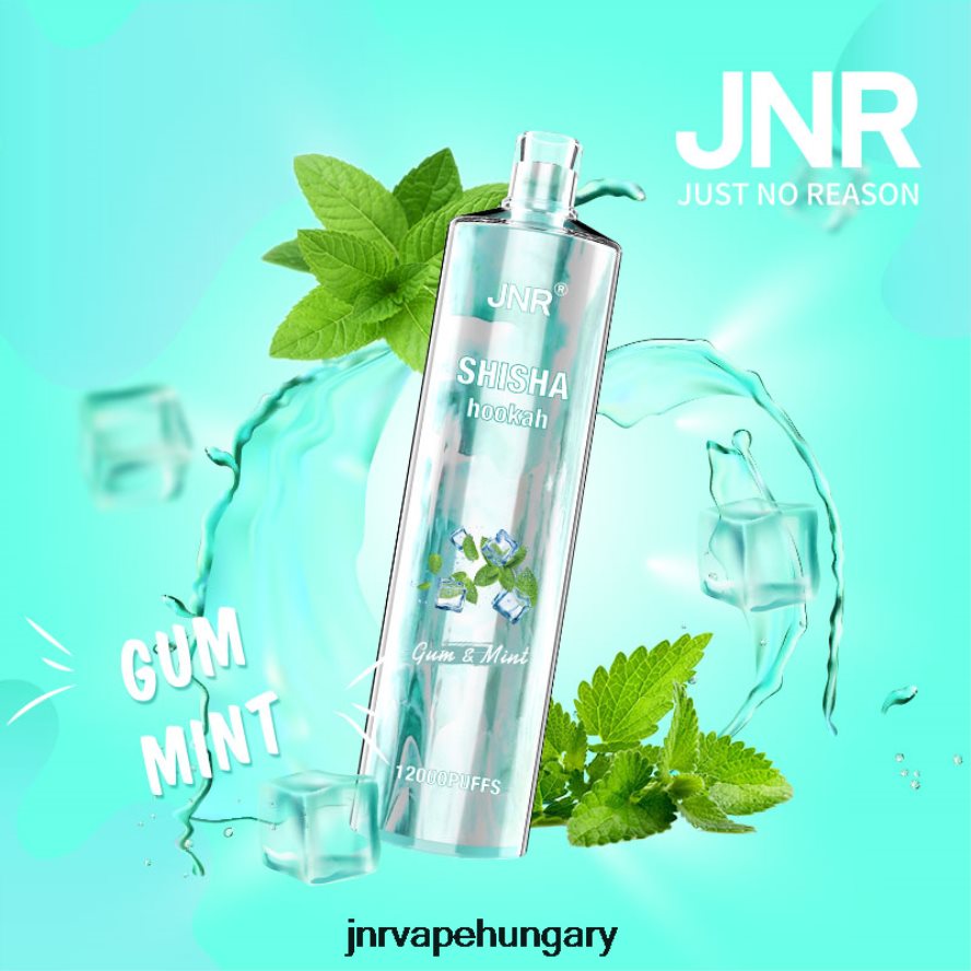 jnr shisha gumi és menta N0L24L164 -JNR Vape Nicotine
