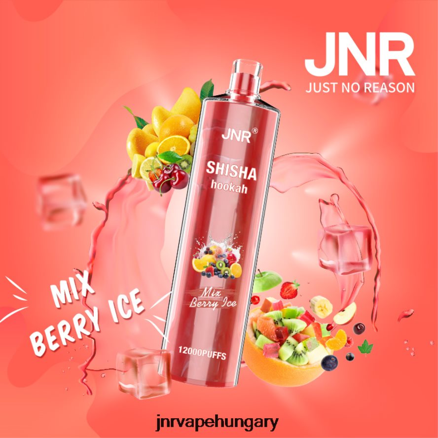 jnr shisha keverjük össze a bogyós jeget N0L24L166 -JNR Vape Price