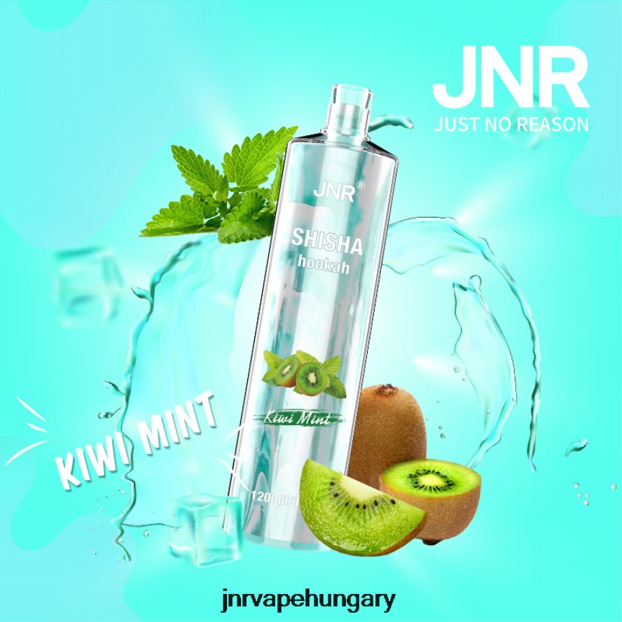 jnr shisha kiwi menta N0L24L169 -JNR Vape Review