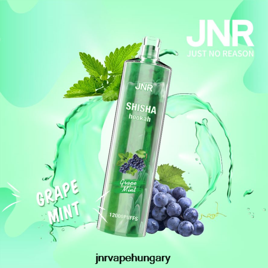 jnr shisha szőlő menta N0L24L171 -JNR Vape Nicotine Content