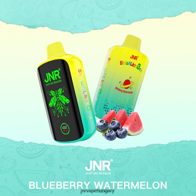 JNR SKYWALKER doboz áfonyás görögdinnye 06XZ41 - JNR Vape Pods