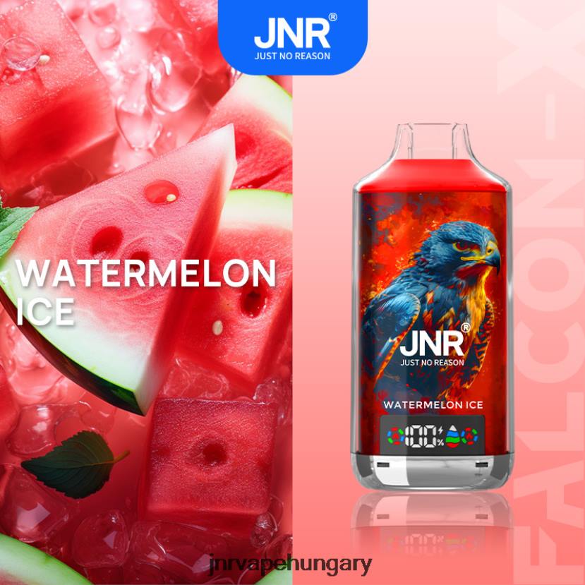 JNR FALCON x görögdinnye jég 08PT8 - JNR Vape Flavours