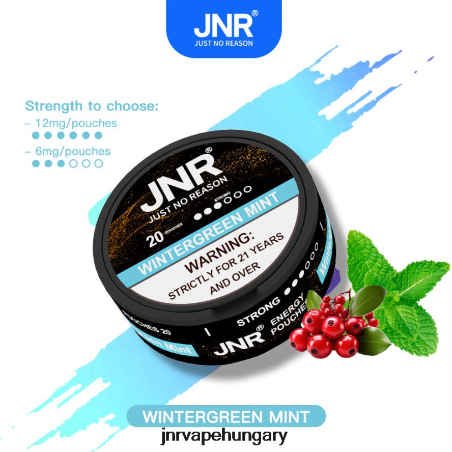 jnr energiatasakok télizöld menta N0L24L106 -JNR Vape Price